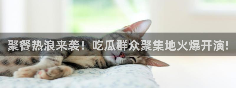 51吃瓜网热门大瓜:聚餐热浪来袭!吃瓜群众聚集地火爆开演!