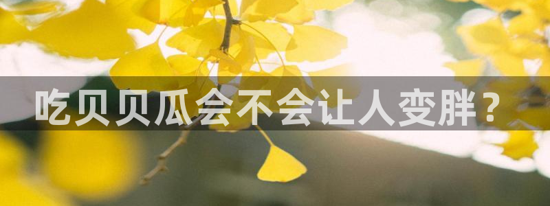 51吃瓜网今日吃瓜热门大瓜:吃贝贝瓜会不会让人变胖?