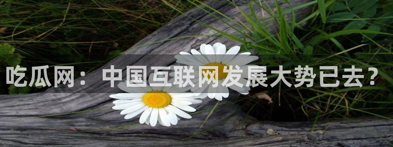 51cg1.ct吃瓜:吃瓜网:中国互联网发展大势已去?