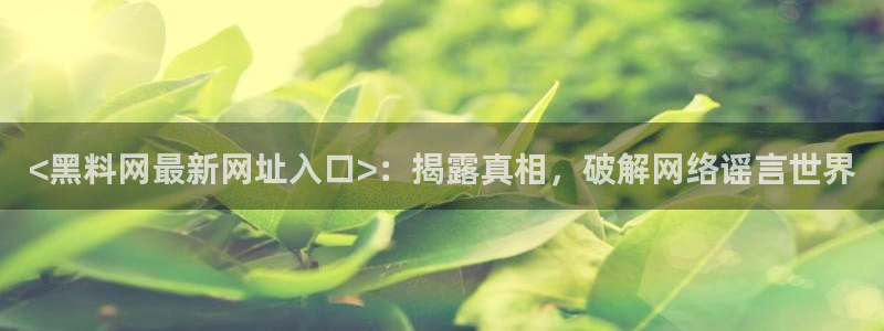 黑料爆料:<黑料网最新网址入口>:揭露真相,破解网络谣言世界