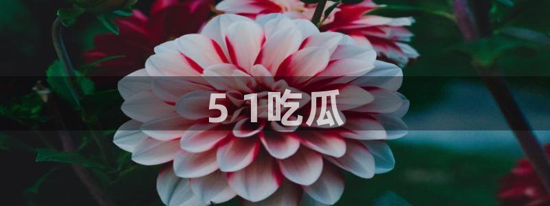 nanataipei51吃瓜:5 1吃瓜