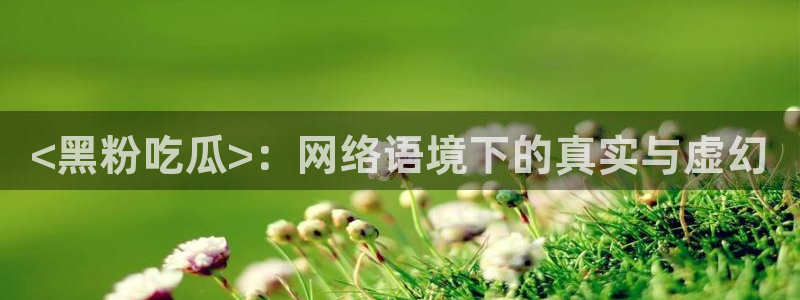 吃瓜事件:<黑粉吃瓜>:网络语境下的真实与虚幻