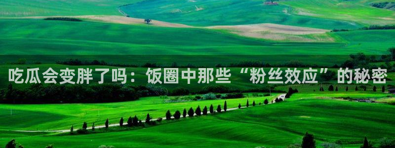 吃瓜网 今日吃瓜 热门大瓜:吃瓜会变胖了吗:饭圈中那些“粉丝效应”的秘密